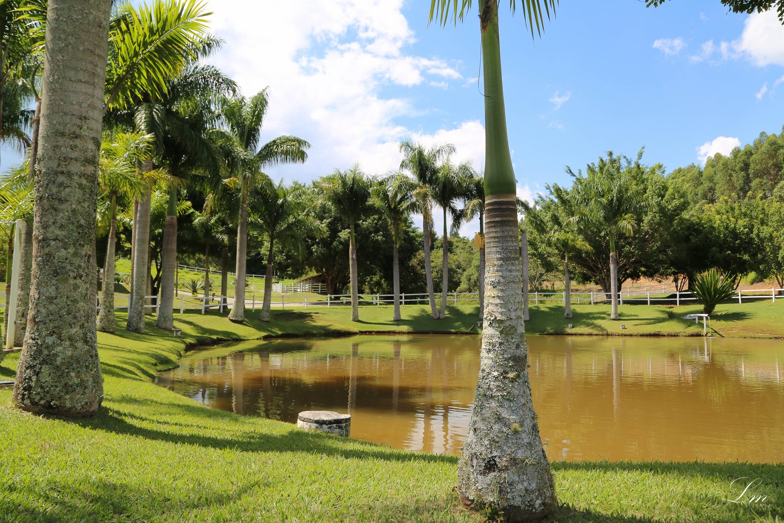 Lago da fazenda